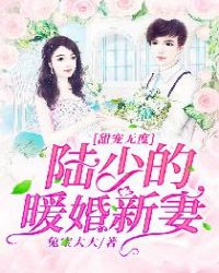 甜宠无度， 陆少的暖婚新妻封面
