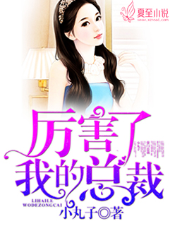 厉害了：我的高冷总裁封面