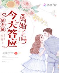 陆老师今天答应离婚了吗封面