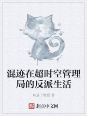 混迹在超时空管理局的反派生活封面