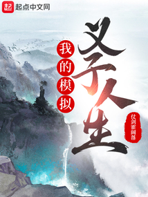 我的模拟义子人生封面