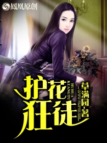 护花狂徒封面