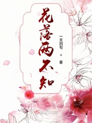 花落两不知封面