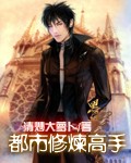 都市修炼高手封面