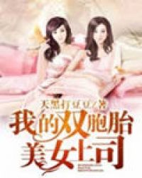 我的双胞胎美女上司封面