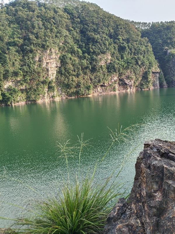 我在吞噬教学就变强封面