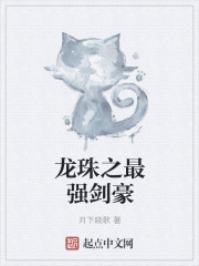 龙珠之最强剑豪封面