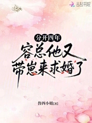 分开四年，容总他又带崽来求婚了封面