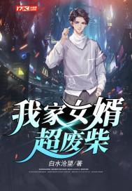 我家女婿超废柴封面
