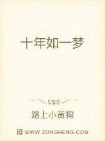 十年如一梦封面