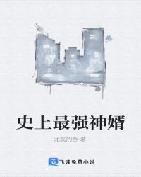 史上最强神婿封面
