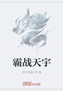 霸战天宇封面