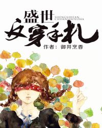 盛世反穿手札封面