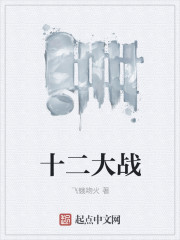 十二大战封面