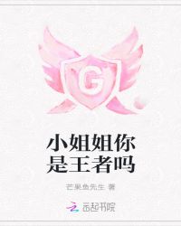 小姐姐你是王者吗封面