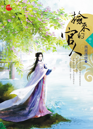 捡来的官人 中封面