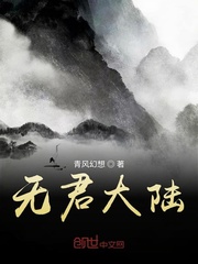 无君大陆封面