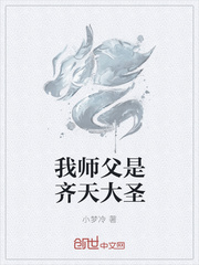 我师父是齐天大圣封面
