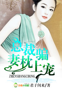 总裁骗妻枕上宠封面