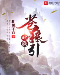 北辰苍狼引封面