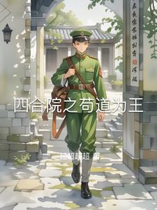 四合院里的小黑手封面