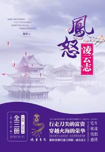 凤怒·凌云志（全三册）封面