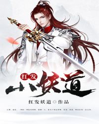 红发小妖道封面