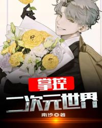 掌控二次元世界封面