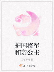护国将军和亲公主封面