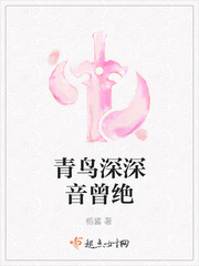 青鸟深深音曾绝封面