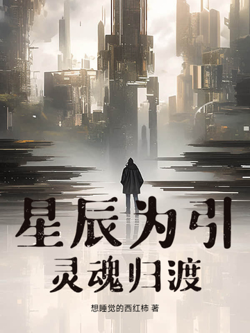 星辰为引：灵魂归渡封面