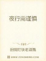 夜行需谨慎封面