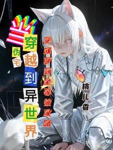 宅男之穿越之旅封面