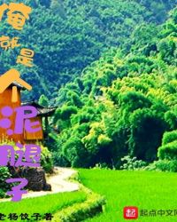 俺就是个泥腿子封面