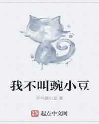 我不叫豌小豆封面
