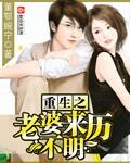 重生之老婆来历不明封面