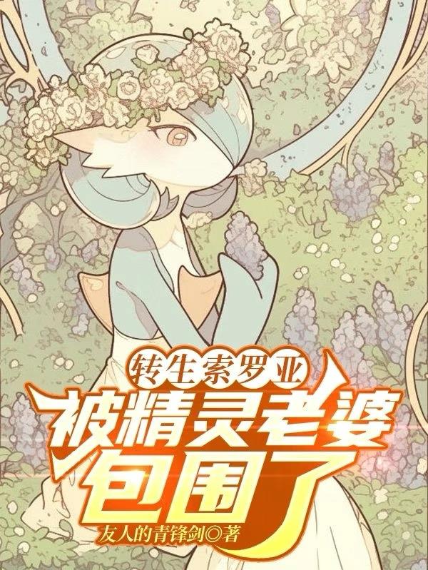 转生索罗亚，被精灵老婆包围了封面