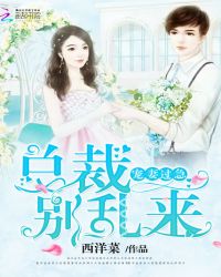 宠妻过急：总裁，别乱来！封面