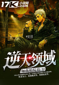 逆天领域封面