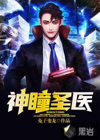 神瞳圣医封面