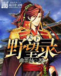天下野望录封面
