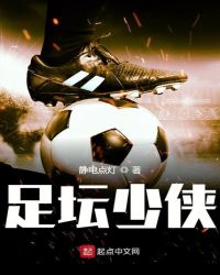 足坛少侠封面