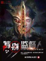 特别监督人封面