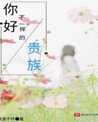 你好不一样的贵族封面