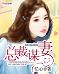 总裁谋妻封面