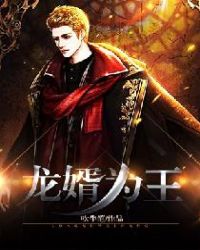 龙婿为王封面