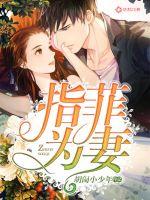 指菲为妻封面