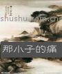 那小子的痛封面