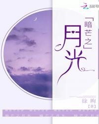 暗芒之月光封面
