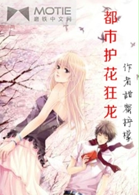都市护花狂龙封面